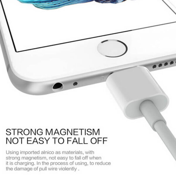 magnetic_charge