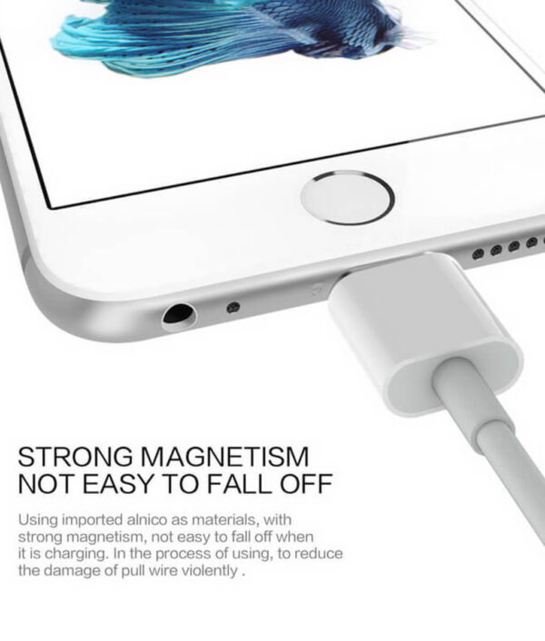 magnetic_charge