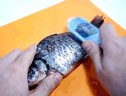 Fish Scale Remover || Plastic Fish Scaler Seafood Kitchen Tools