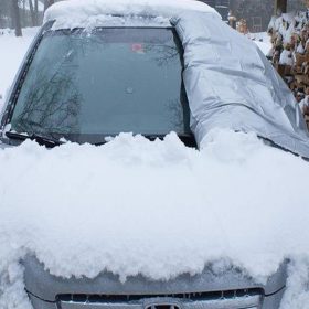 Windshield Cover - image 6