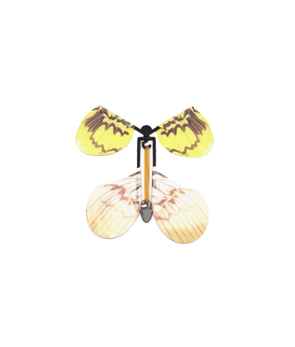 tower_butterfly_1