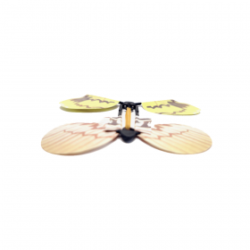 magic_butterfly_4