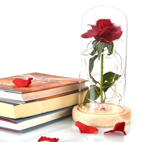 Ljepota-i-zvijer-crvena-ruža-u-staklu-kupola-na-drvenoj podlozi-za-Valentine-10.jpg