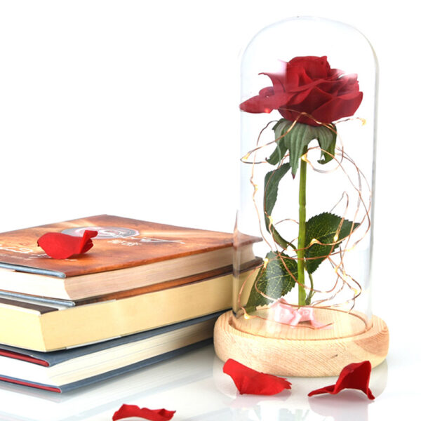 Beauty-and-the-Beast-Red-Rose-in-a-Glass-Dome-op-een-houten-basis-for-Valentine-10.jpg