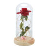 Ljepota-i-zvijer-crvena-ruža-u-staklu-kupola-na-drvenoj osnovi-za-Valentinovo-7