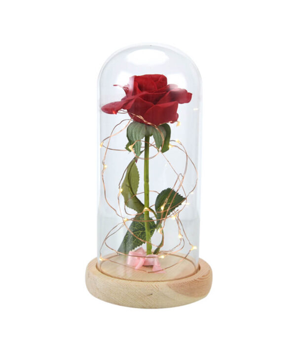 Ilu-ja-metsaline-punane-roos-klaas-kuppel-on-puust alus-valentin-7