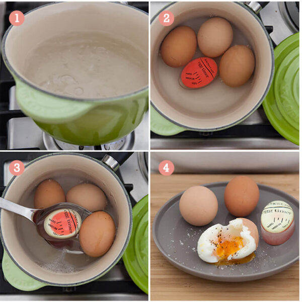  Norpro Egg Perfect Egg Timer: Home & Kitchen