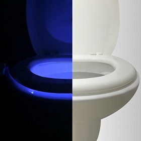 51qG5JcUq1L._SX466_