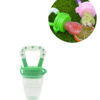 Silcone-Baby-Pacifier-Fresh-Food-Feeder-Dummy-Fruits-Nibbler-Soother-Feeding-Nipple-Bottle-Clip-Chain-1-1