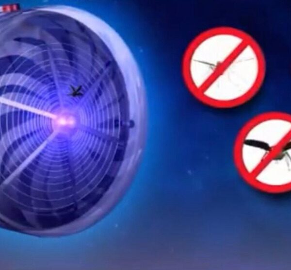 HTB1SIdAi29TBuNjy1zbq6xpepXaH
