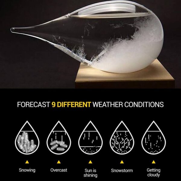 weather-predicting-storm-glass-4_1024x1024_2x_1c2891b7-070d-4412-b820-a9d27055def0_530x@2x