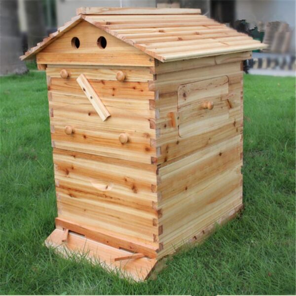 Automatic-langstroth-honey-flow-bee-hive-beehive-with-7-pcs-flow-frames-1.jpg