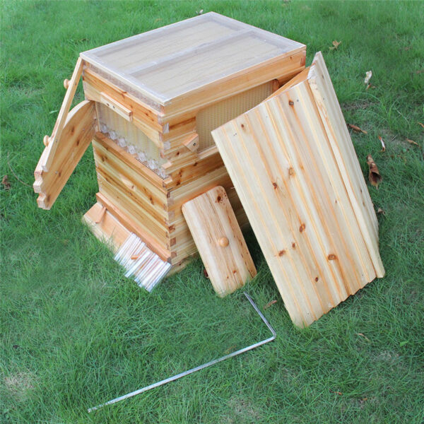 Automatic-langstroth-honey-flow-bee-hive-beehive-with-7-pcs-flow-frames-3.jpg