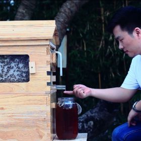 Automatic-langstroth-honey-flow-bee-hive-beehive-with-7-pcs-flow-frames-5.jpg