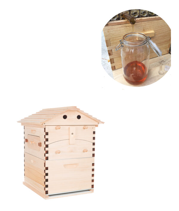 Automatic-langstroth-honey-flow-bee-hive-beehive-with-7-pcs-flow-frames