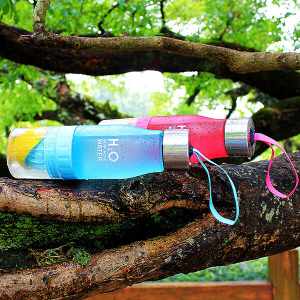 New-Xmas-Gift-650ml-Water-Bottle-plastic-Fruit-infusion-bottle-Infuser-Drink-Outdoor-Sports-Juice-lemon (2)