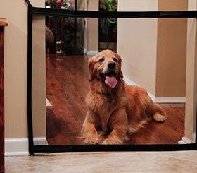 Magic-Gate-Portable-Folding-Safe-Guard-Install-anywhere-Pet-safety-Enclosure-2.jpg