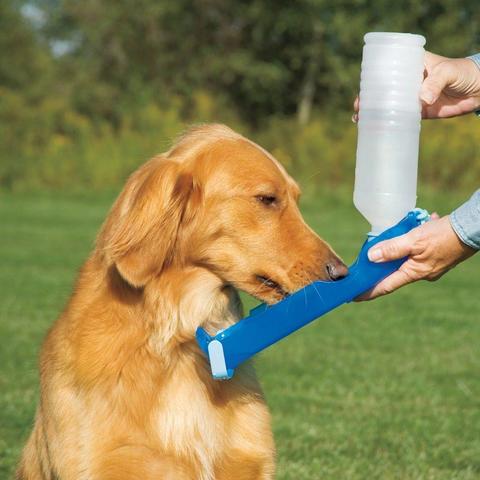Dog water bottle 2 large