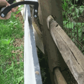Gorilla Gripper - image 6