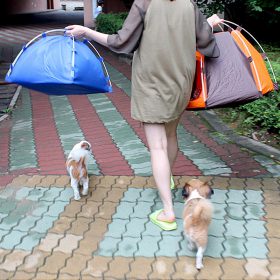 Pet Tent - image 7
