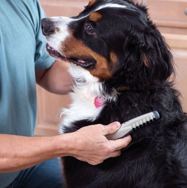 Elektrische Pet Dog Grooming Kam Kat Tondeuse Knoop Uit Verwijder Matten Klitten Tool Benodigdheden