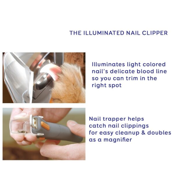 Pet Nail Trimmer Peti Care Dog Nail Clippers Grinders for Cat Dog 2