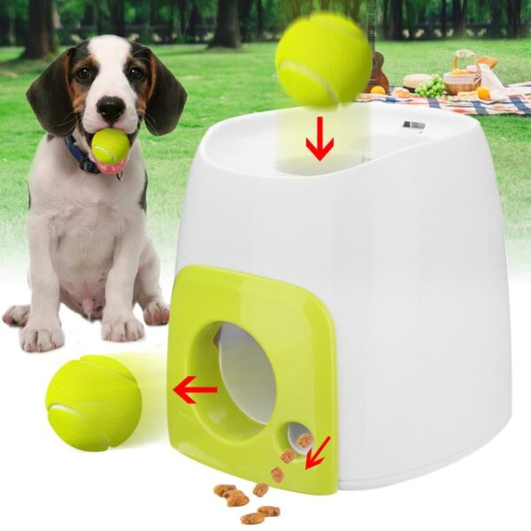 Woopet Pet Dog ของเล่น Automatic Ball Launcher ลูกเทนนิสม้วนออกเครื่องเปิดตัว Fetching