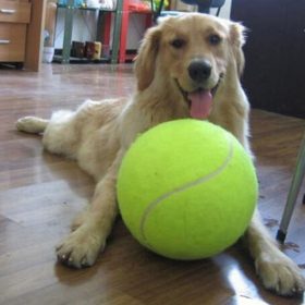 Giant Tennis Ball - image 2
