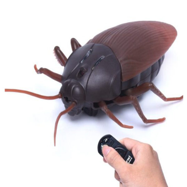 rc cockroach