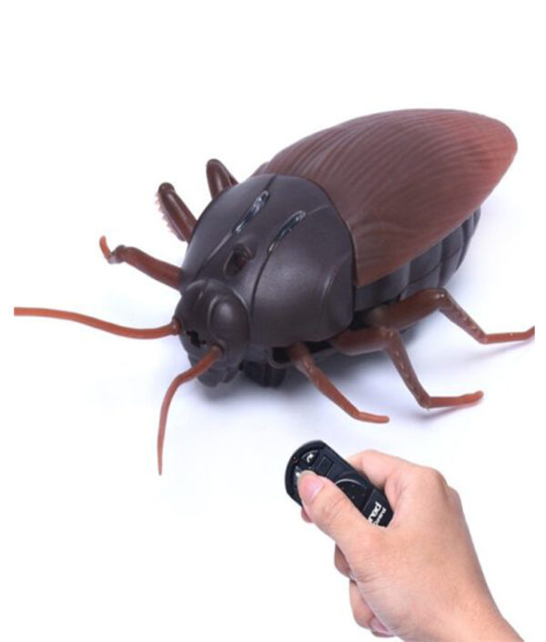 rc cockroach