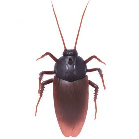 RC Cockroach - image 4