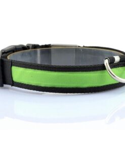 Nylon LED Pet Dog Collar Night Safety Anti lost Flashing Glow Collars Dog Supplies 7 colors 1.jpg 640x640 1