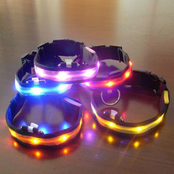 Nailan LED Pet Dog Collar Tsaron Dare Anti hasara mai walƙiya Glow Collars Dog yana ba da launuka 7