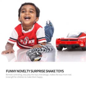 RC Snake - image 6