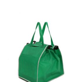 Shopping Bag - image 1