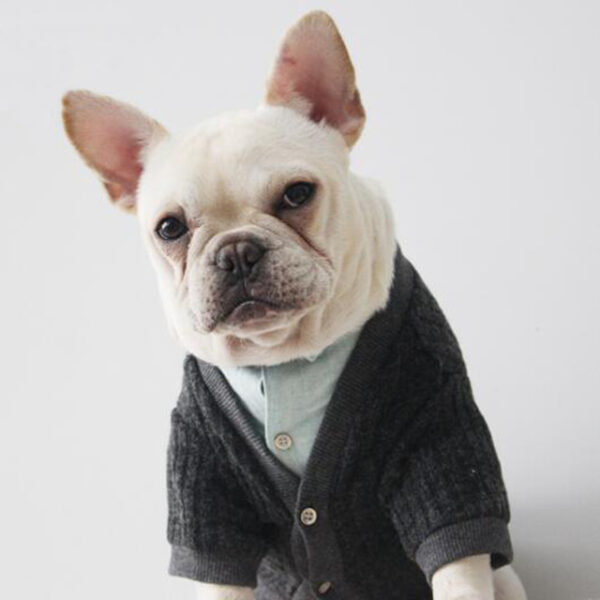 BENMEI Gentleman Knitted Warm Dog Coat Jacket Para sa Dagkong mga Iro Spring Autumn Winter Bulldog Pet Dog 1.jpg 640x640 1