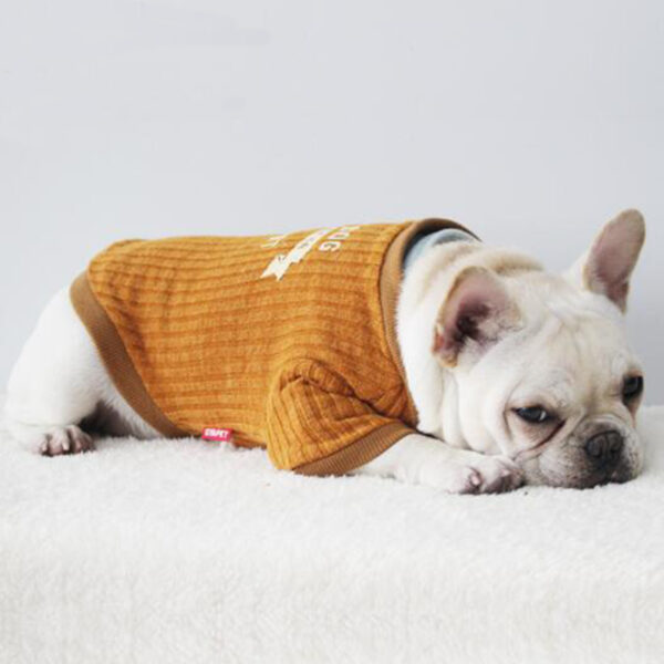 BENMEI Gentleman Knitted Warm Dog Coat Jacket Alang sa Daghang mga Iro Spring Autumn Winter Bulldog Pet Dog 3