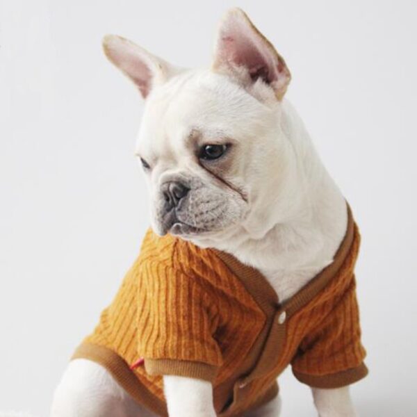 BENMEI Gentleman Knitted Warm Dog Coat Jacket Alang sa Daghang mga Iro Spring Autumn Winter Bulldog Pet Dog 4