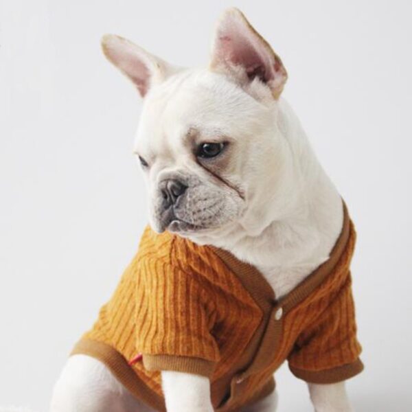 BENMEI Gentleman Knitted Warm Dog Coat Jacket Para sa Dagkong mga Iro Spring Autumn Winter Bulldog Pet Dog 4