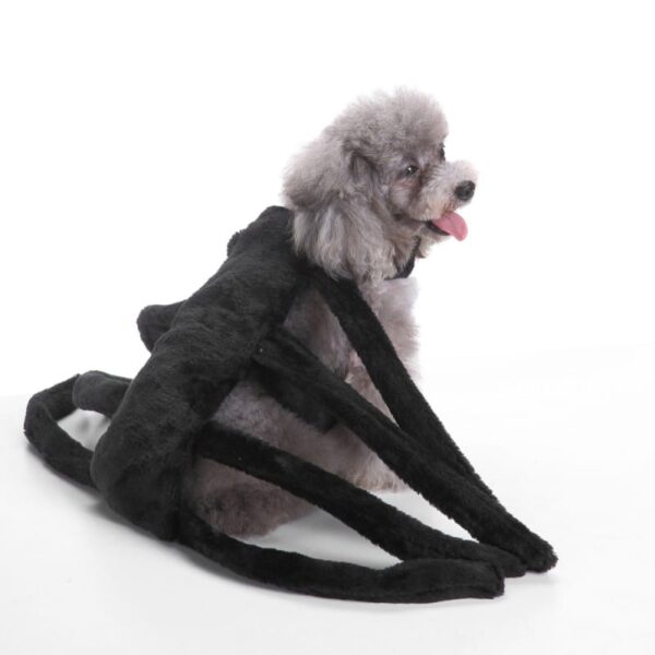 Odjeća za pse za Noć vještica Kostim za rubine Pet Spider Harness kostim Jesenske zimske kolekcije Kostim za pseće pseće pse