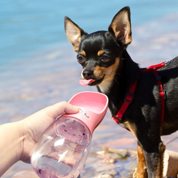 Portable Pet Dog Water Bottle For Small Large Dogs Travel Puppy Cat Drinking Bowl Outdoor Pet 5