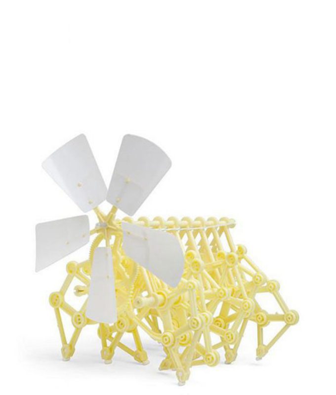 Wind Powered Robot