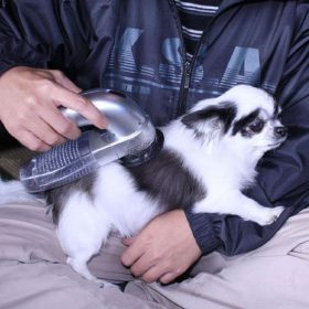 Pet Vacuum Cleaner - image 4