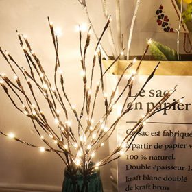 Lit Branch - image 1