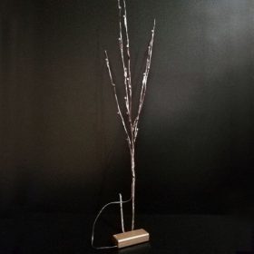 Lit Branch - image 4