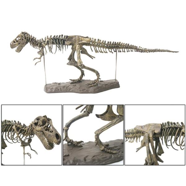 4D Tyrannosaurus Rex kasinėjimų mokslo rinkinys Iškaskite dinozaurą ir surinkite 4D skeletą senovinis gyvūnas 1