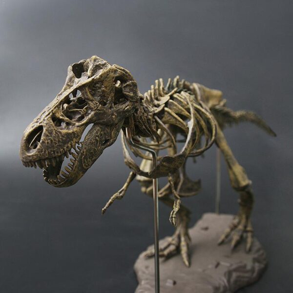 Naučni komplet za iskopavanje 4D Tyrannosaurus Rex-a Iskopajte dinosaura i sastavite 4D kostur Drevna životinja 3
