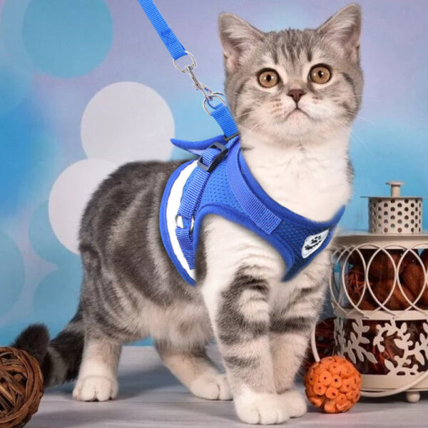 Cat Harness ug Leash Set Reflective Kuting Puppy Dogs Jacket Mesh Pet Clothes Alang sa Gagmay nga Iro 5