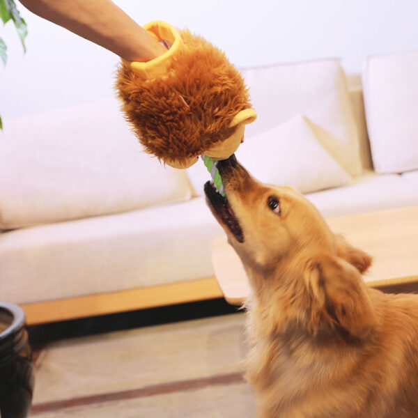 Dog Gloves Toys