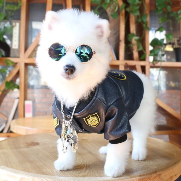 Pet Sunglasses Dog Eye wear Cat Glasses Little Dog Glasses Photos Props Dog Cat Accessories Pet 1